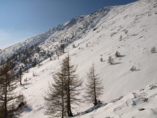 Da quota 2030m, il versante Nord-Est del Lose Bianche (2435 m)