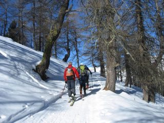 La strada che porta all' Alpe d' Arguel