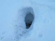 Rifugio scavato nella neve da qualche animale