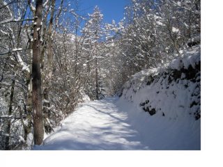 L'inverno e' tornato in Val Chisone..