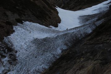 L’attraversamento del torrente di Chambave: la neve tiene, ma Frank fa da cavia