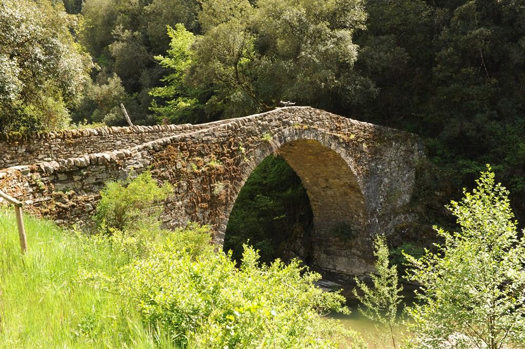 il bel ponte romano