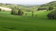 verde Monferrato (Terrugia)