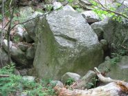 piccolo boulder immerso nel bosco