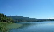 al lago di Varese nei pressi di Biandronno