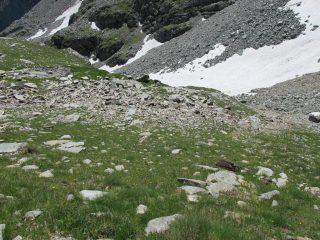La pietraia termina poco sotto il nevaio (a dx nella foto) e da lì si sale verso dx