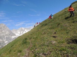 Appena lasciato il sentiero per il Col du Grand Ferret