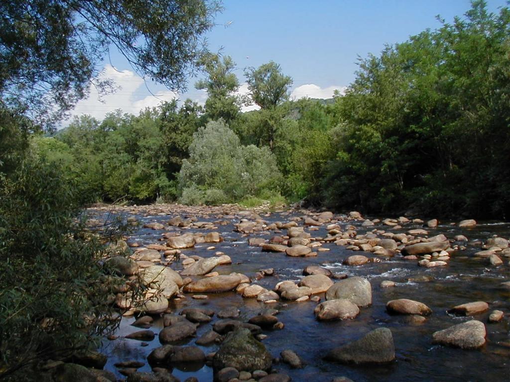 torrente Chiusella