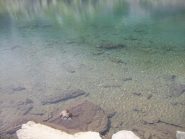 L'acqua cristallina del lago Ciardonnet