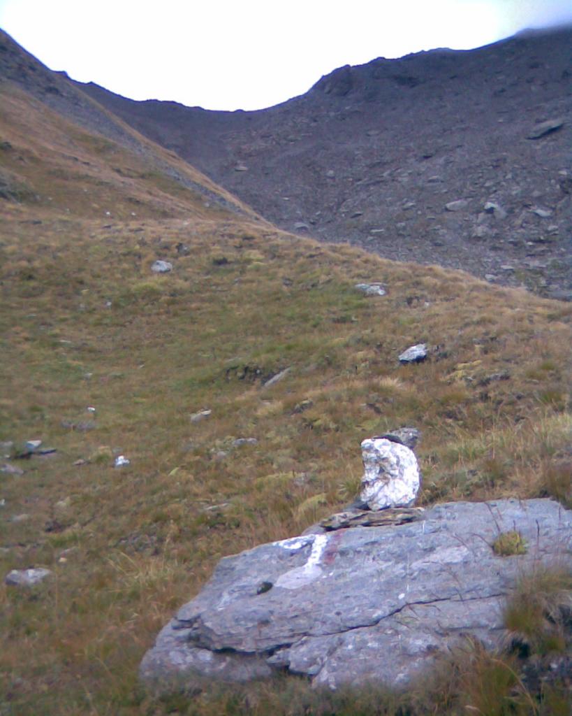 Il segno che indica a sx verso la cresta erbosa, a circa 2750 m