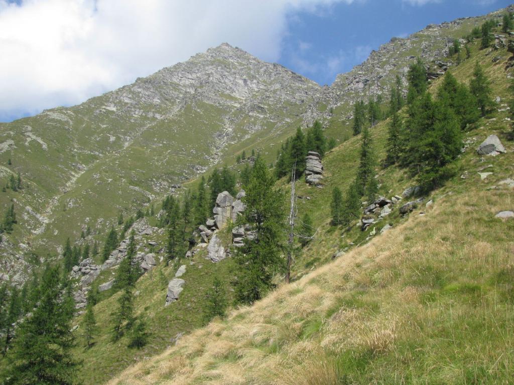 Punta Tressi, vista dall'Alpe Giuoco