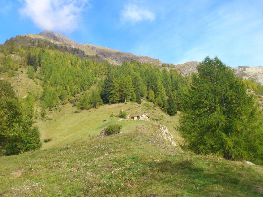 alpe Casera di sopra e versante ovest della cima delle Croci (sulla verticale sopra le baite) sul versante di Riva Valdobbia