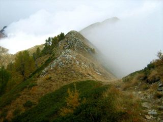 La Loccia dalle creste verso il Monte Alom