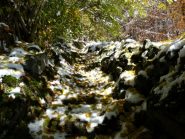 il sentiero nella parte bassa con le foglie fatte cadere dalla neve
