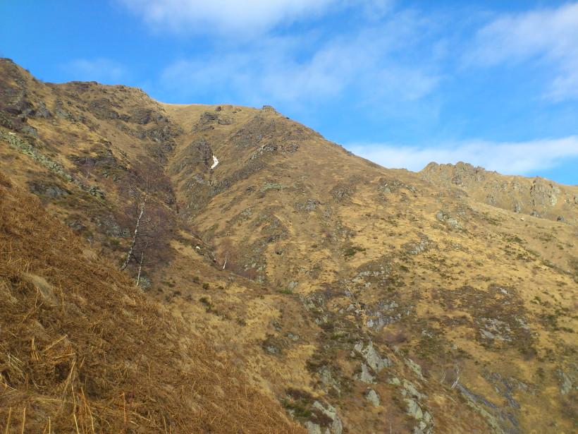 crinale/costolone (sopra l'alpe Ortighè, + o - al centro del versante sud) percorso in salita (e che non è quello -consigliabile- descritto con questa escursione) 