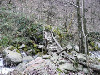Ponte di legno sul rivo Palocco
