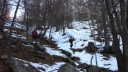 salendo nel bosco, per tagliare un tratto della stradina per il Colle Birrone (22-12-2012)