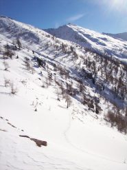 Monte Pelato (2741m) dai Forni