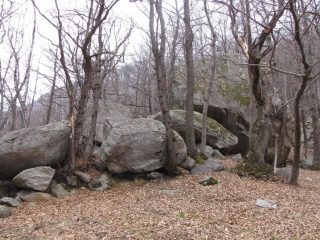 bosco e boulder