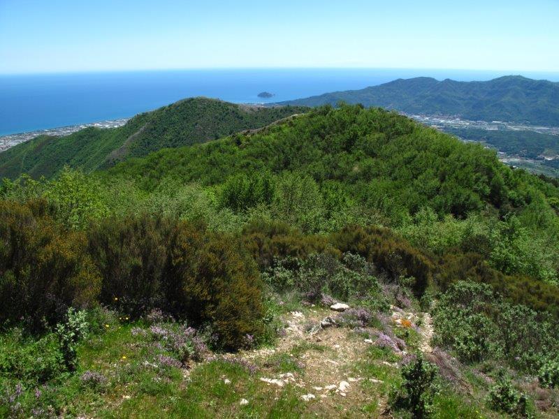 Panorama dal forte verso l'Isola Gallinara e il golfo ligure