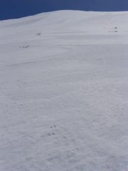 curve su una neve da favola