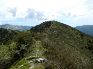 cima del Bergiorin