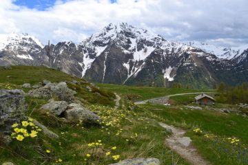 in discesa all'Alpe Berrier (2192 m)