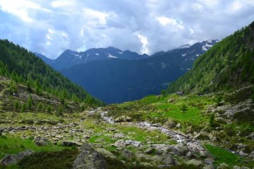 il pianoro dell'Alpe Asinello visto scendendo