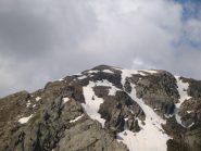 Monte Saletta da Q 2515