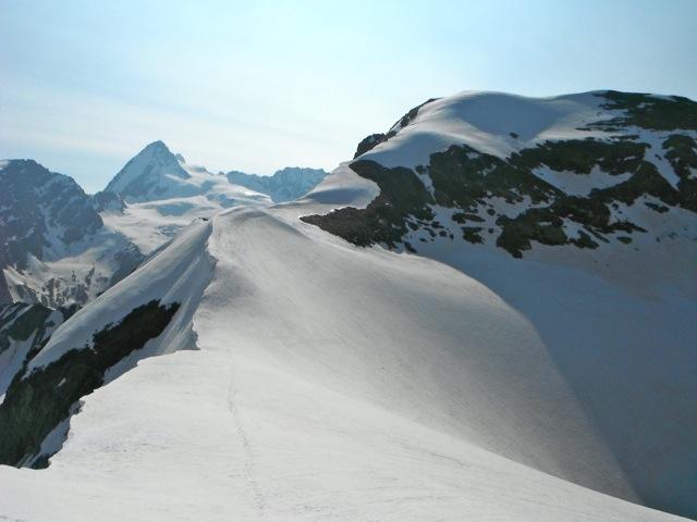 la cresta dalla punta Kurz verso il Mont Brulè
