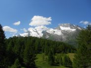 Non scherzavo col panorama: Mont Pourri e Dome de la Sache