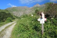 il primo bivio incontrato, con il sentiero che sale verso i monti Salza e Mongioia (20-7-2013)