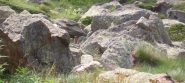Marmotta sentinella nei pressi del bivacco