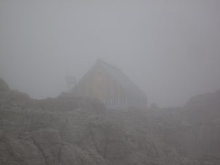 Boarelli nella nebbia