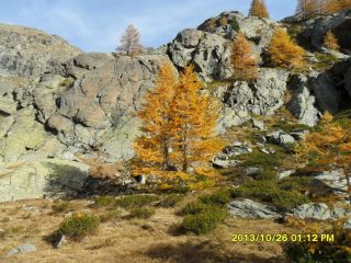 AUTUNNO IN CLAVALITE'