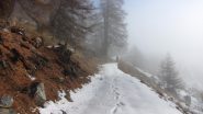 salendo poco oltre gli Alpeggi Fontin (17-11-2013)