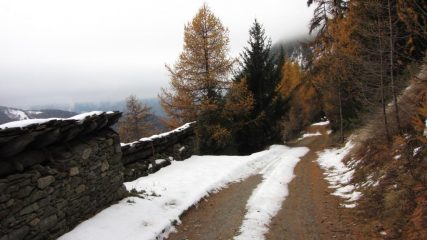 la stradina che passa nel bosco verso gli Alpeggi Fontin (17-11-2013)
