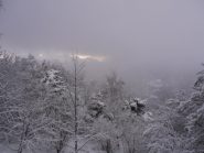 09 - nevicata nel bosco (1024x768)