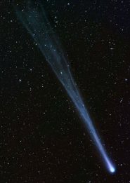 la cometa ison fotografata al telescopio