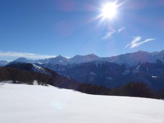 Alpi Marittime dalla radura presso il Colle Sappè