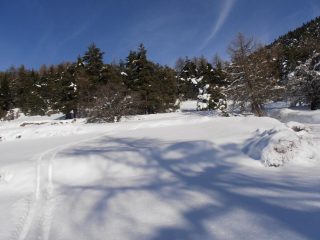06 - Sotto il Colle di S.Pantaleone neve bella, ma in buona parte si scia nel bosco