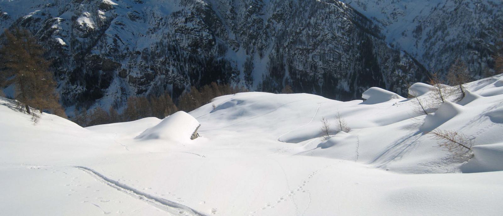 Alpeggi sopra Alpenzù