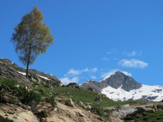 Nei pressi del bivio per Trucchetto: il Mont Roux sullo sfondo