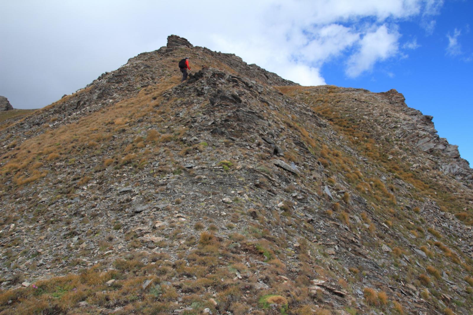 l'ampia cresta SE che porta verso il Monte Vallonet