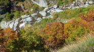 colori d'autunno sul Rio Verdassa