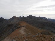 07 - Cresta di discesa ad est della Punta della Gavia, parte iniziale erbosa