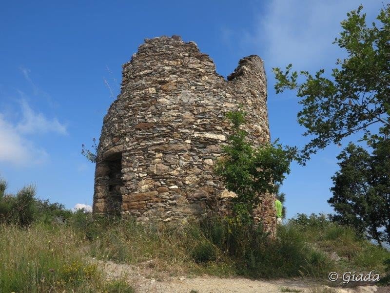 La Torre Pisana