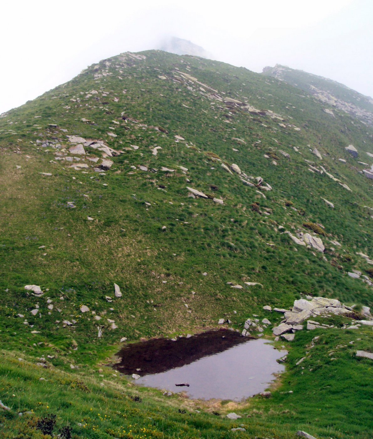 Piccolo laghetto che si trova sul percorso verso Cima Testona.
