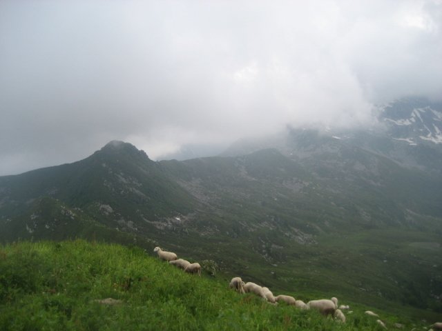 dal Bo di Valsesia, vista verso il Testone delle Tre Alpi e punta Scalaccia (punta del Campanile nella nube)