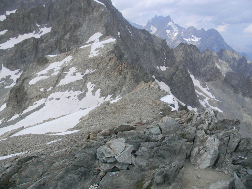 dalla vetta il colle du Glacier Blanc con tutta la cresta percorsa